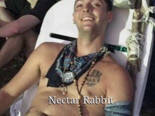 Nectar_Rabbit