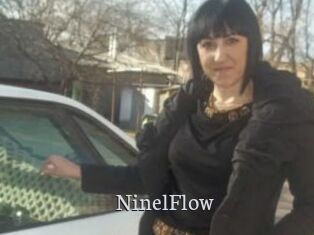 NinelFlow