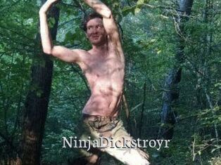 NinjaDickstroyr