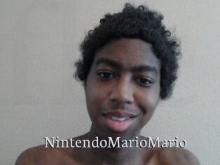 NintendoMarioMario