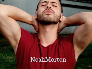 NoahMorton