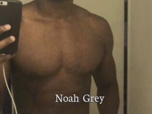 Noah_Grey