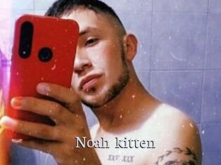 Noah_kitten