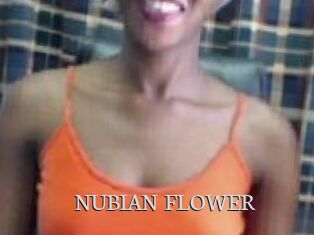 _NUBIAN_FLOWER_