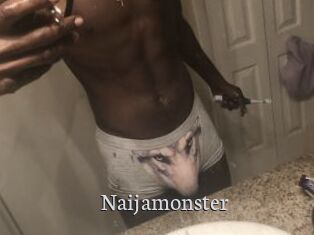 Naijamonster