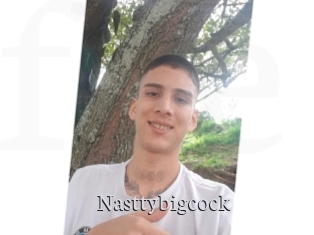 Nasttybigcock