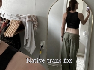 Native_trans_fox