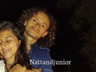 Nattandjunior