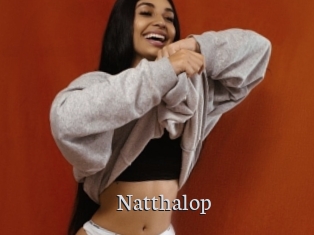 Natthalop