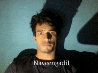 Naveengadil