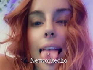 Networkecho