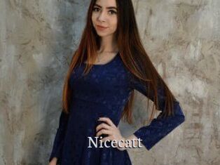 Nicecatt