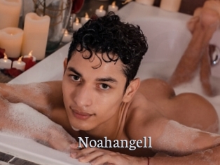 Noahangell