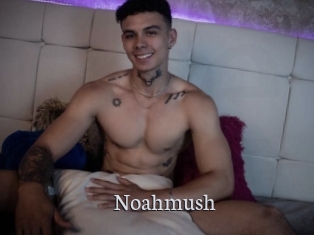 Noahmush