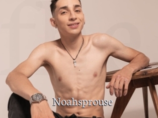 Noahsprouse