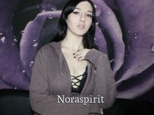 Noraspirit