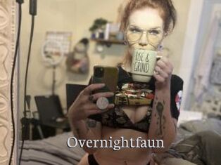 Overnightfaun