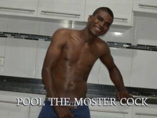 POOL_THE_MOSTER_COCK