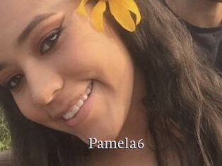 Pamela6