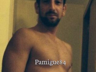 Pamigue84