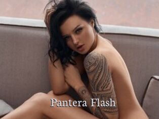 Pantera_Flash