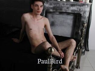 PaulBird