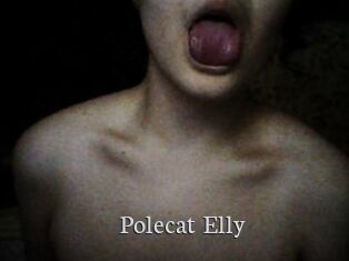 Polecat_Elly