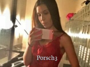 Porsch3