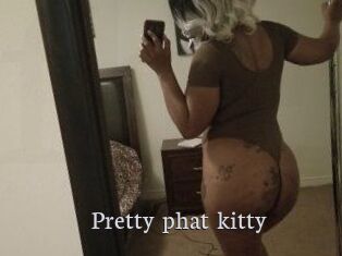 Pretty_phat_kitty