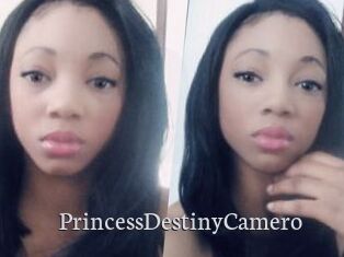 PrincessDestinyCamero