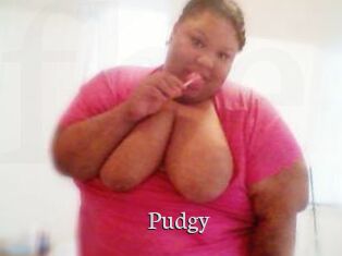 Pudgy