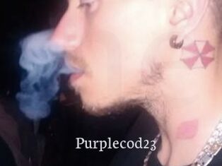 Purplecod23