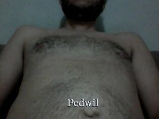 Pedwil