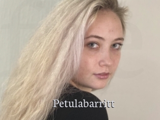 Petulabarritt