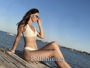 Pollishining