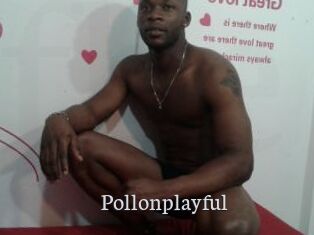 Pollonplayful