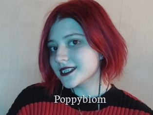 Poppyblom