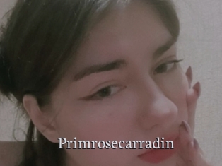 Primrosecarradin