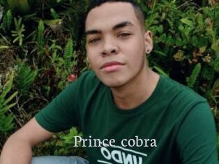 Prince_cobra