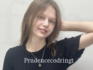 Prudencecodringt