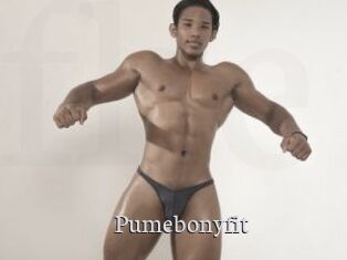 Pumebonyfit