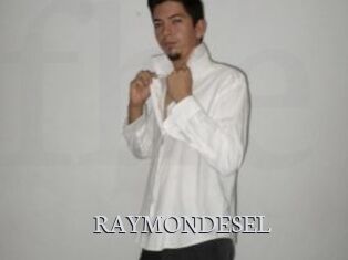 RAYMONDESEL