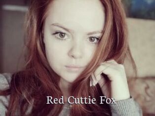 Red_Cuttie_Fox