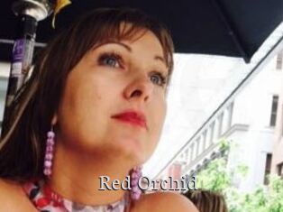 Red_Orchid