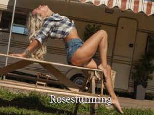 Rosestunning