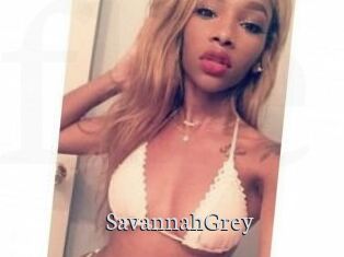 Savannah_Grey