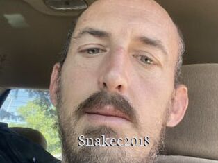 Snakec2018