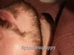 Spinelesspoppy