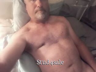 Stud4sale