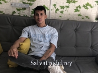 Salvatredelrey